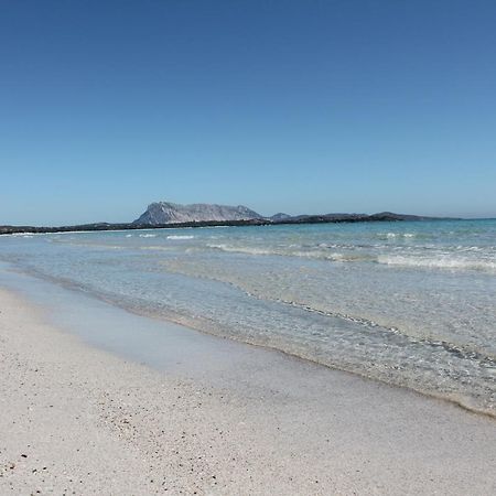 Vista Sul Mare E Tavolara Budoniaffitti Loiri Porto San Paolo Exterior foto